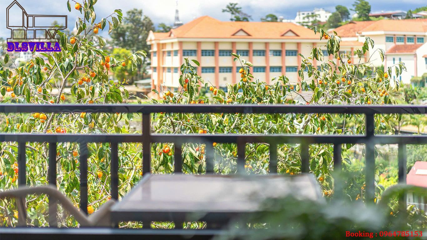 VILLA ĐÀ LẠT DL027-VILLA 8PN NGAY TRUNG TÂM ĐÀ LẠT 4 villa da lat dl027 2