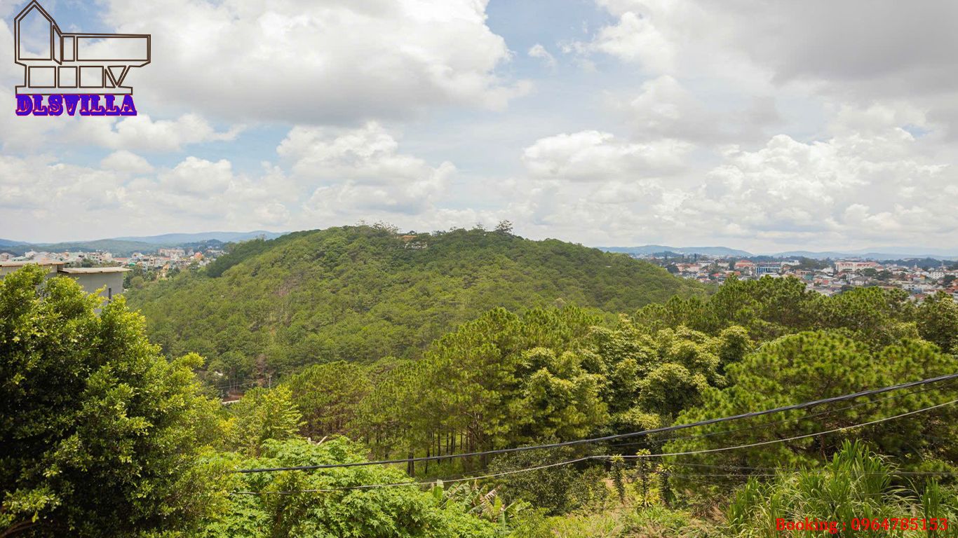 VILLA ĐÀ LẠT DL029-VILLA GỖ, SÂN VƯỜN, VIEW ĐỒI THÔNG 38 villa da lat dl029 37