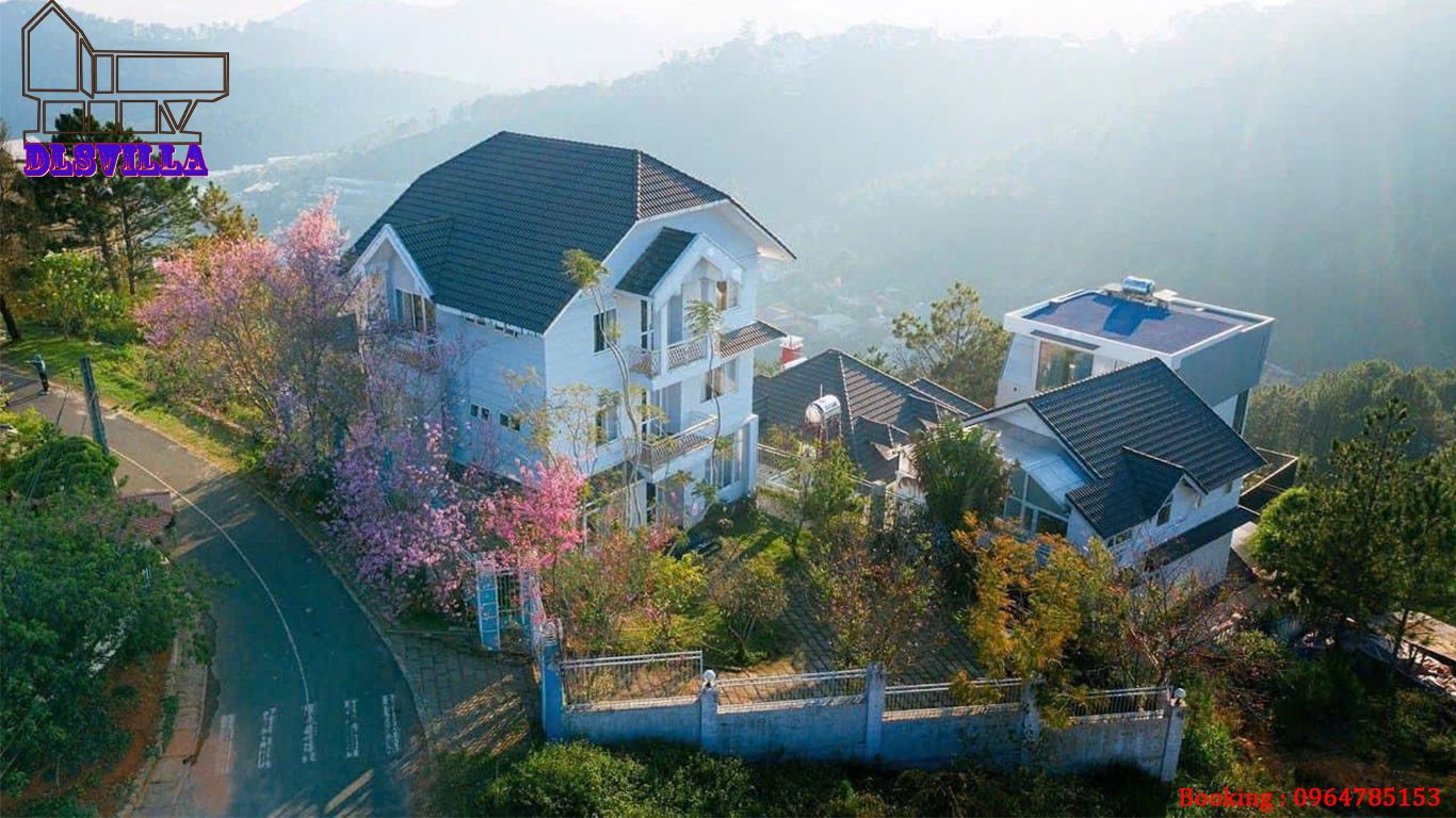 VILLA ĐÀ LẠT DL038-VILLA SÂN VƯỜN, VIEW RỪNG THÔNG,ĐỒI NÚI 3 Villa Đà Lạt DL038