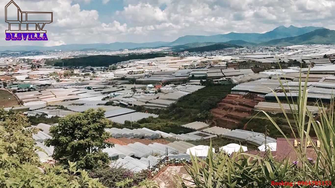 VILLA ĐÀ LẠT DL042-VIEW THUNG LŨNG ĐÈN HUYỀN ẢO 6 villa da lat dl042 4