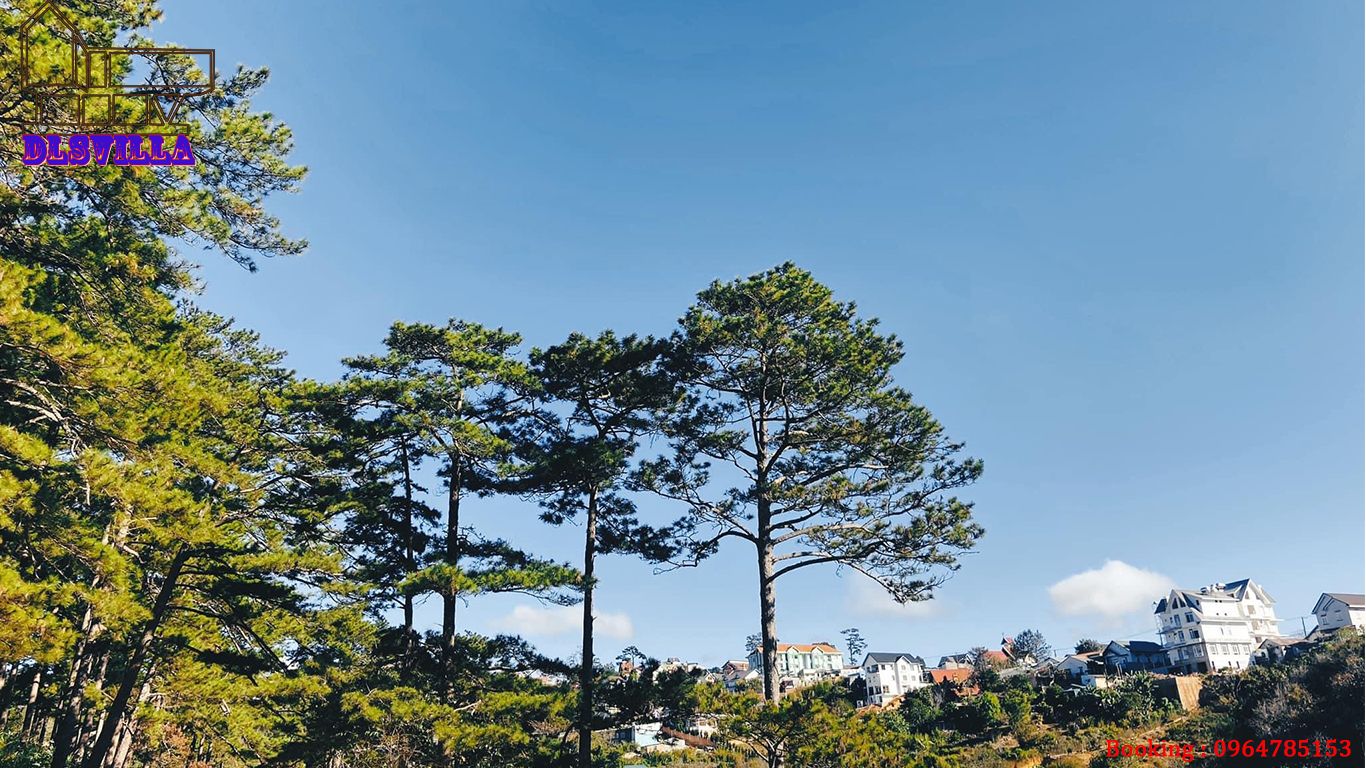 VILLA ĐÀ LẠT DL044- THIẾT KẾ HIỆN ĐẠI, VIEW ĐỒI THÔNG, THUNG LŨNG 22 villa da lat dl044 20