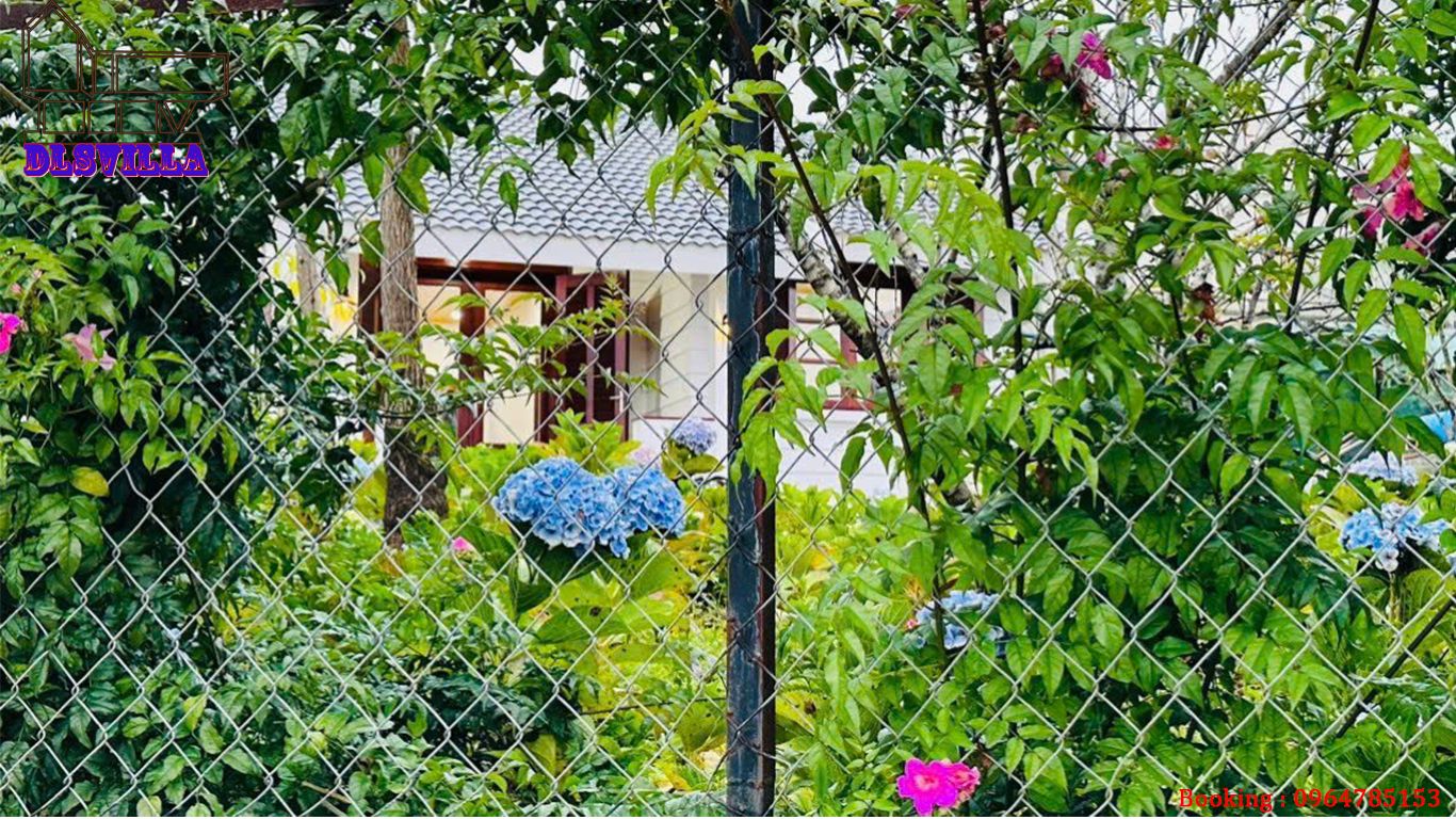 HOMESTAY ĐÀ LẠT DL077-HOME MĂNGLIN 1, SÂN VƯỜN , VIEW RỪNG THÔNG 21 homestay da lat dl077 19