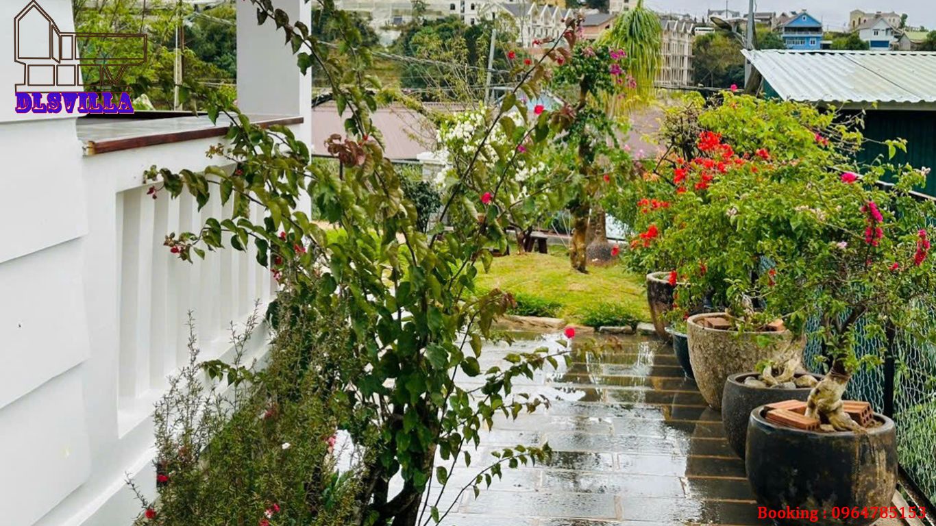 HOMESTAY ĐÀ LẠT DL077-HOME MĂNGLIN 1, SÂN VƯỜN , VIEW RỪNG THÔNG 22 homestay da lat dl077 20