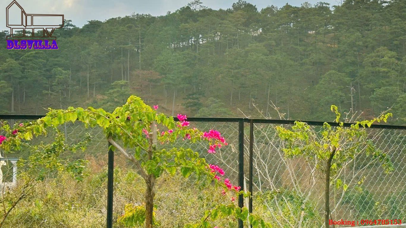 HOMESTAY ĐÀ LẠT DL077-HOME MĂNGLIN 1, SÂN VƯỜN , VIEW RỪNG THÔNG 23 homestay da lat dl077 21