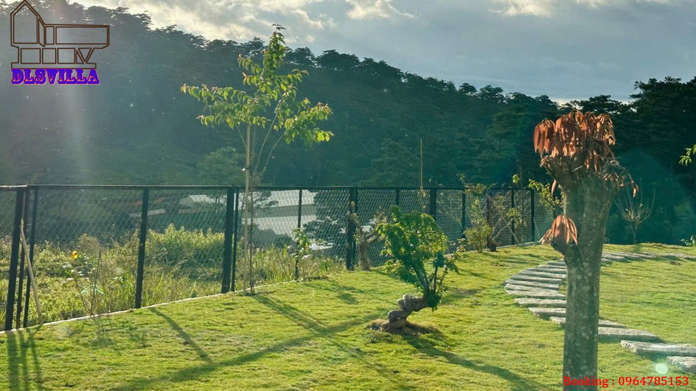 HOMESTAY ĐÀ LẠT DL077-HOME MĂNGLIN 1, SÂN VƯỜN , VIEW RỪNG THÔNG 2 homestay da lat dl077 22