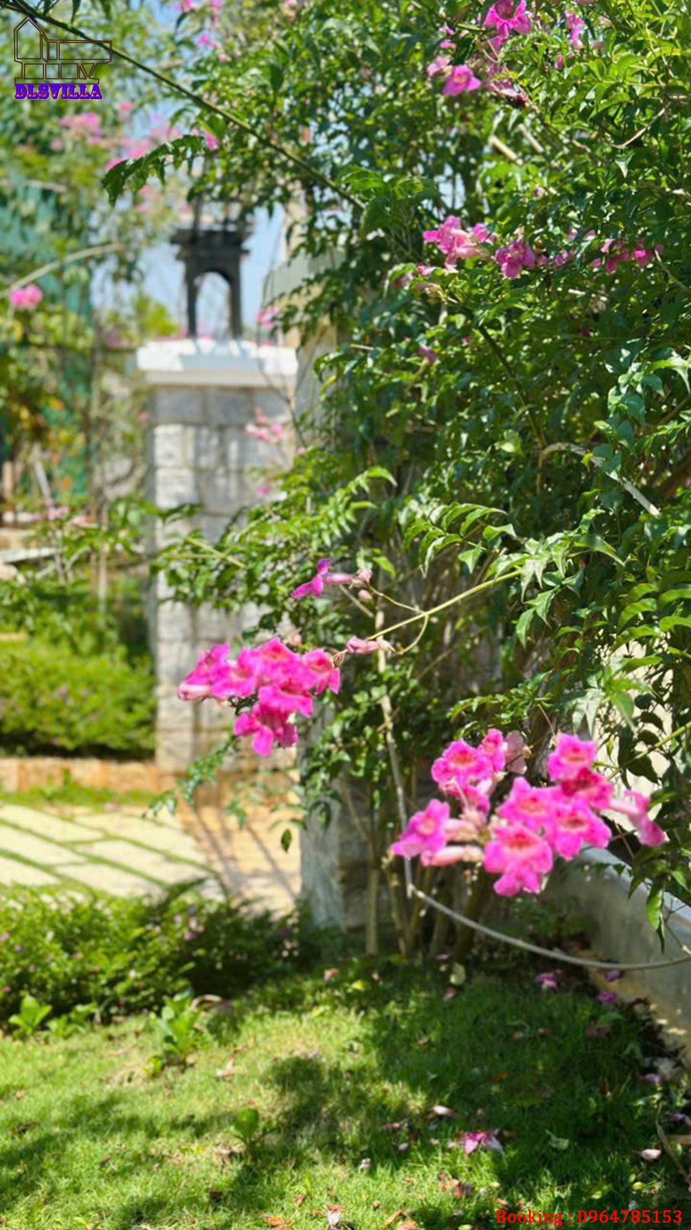 HOMESTAY ĐÀ LẠT DL077-HOME MĂNGLIN 1, SÂN VƯỜN , VIEW RỪNG THÔNG 31 homestay da lat dl077 29