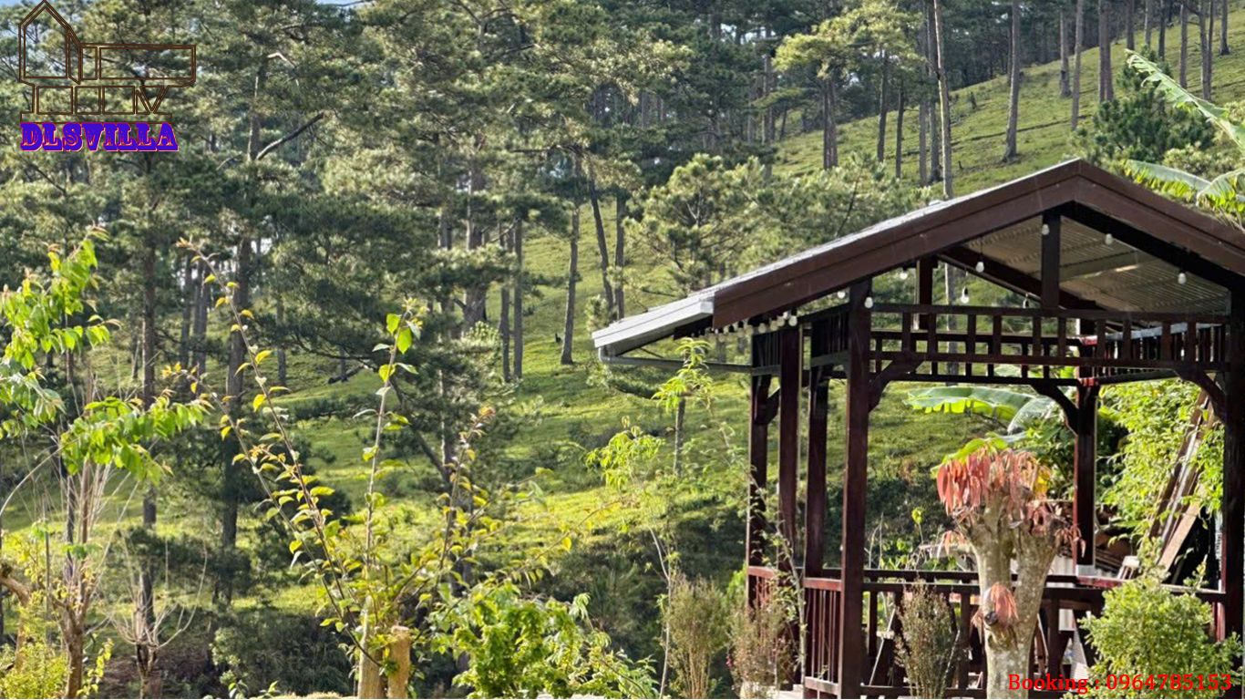 HOMESTAY ĐÀ LẠT DL078-HOME GỖ MĂNGLIN 28 homestay da lat dl078 26