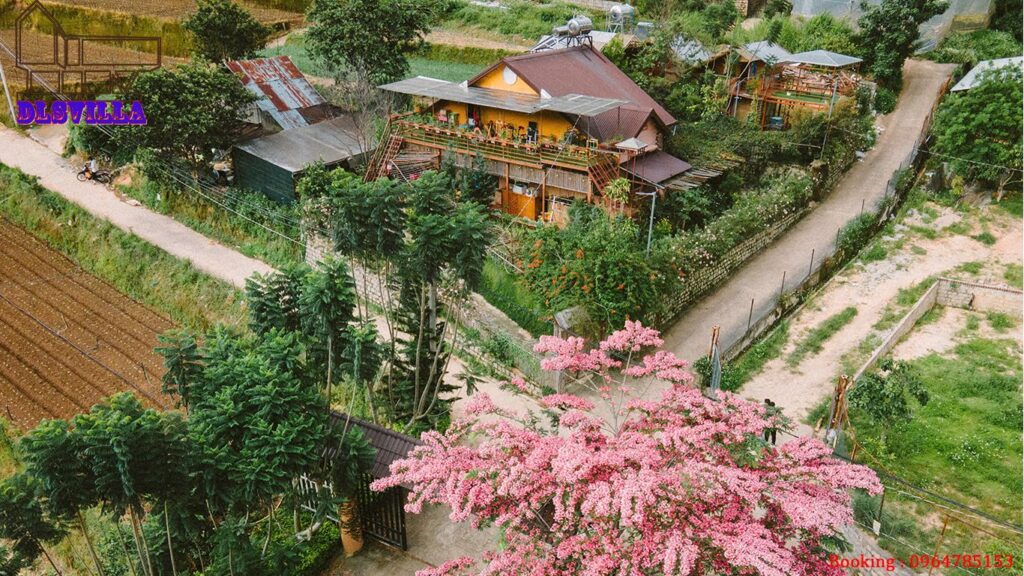 HOMESTAY ĐÀ LẠT DL081-VƯỜN RAU VÀ SÂN VƯỜN XANH MƯỚT 144 Homestay Đà Lạt DL081