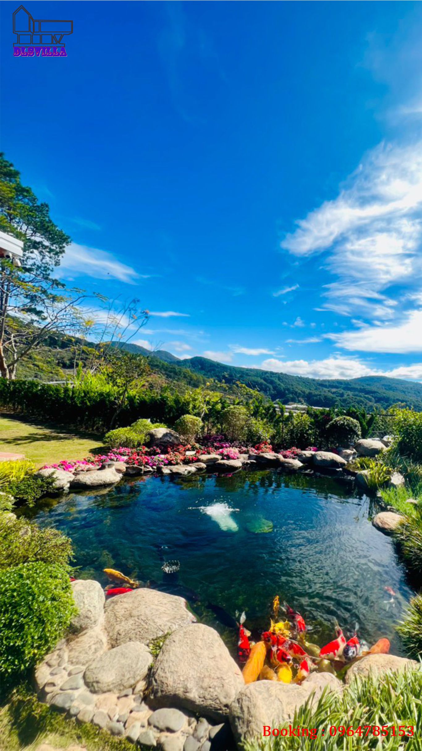 HOMESTAY ĐÀ LẠT DL090-Khám Phá Ngôi Nhà Gỗ Ấm Cúng Giữa Lòng Thiên Nhiên Đèo Mimosa 28 homestay da lat dl090 26