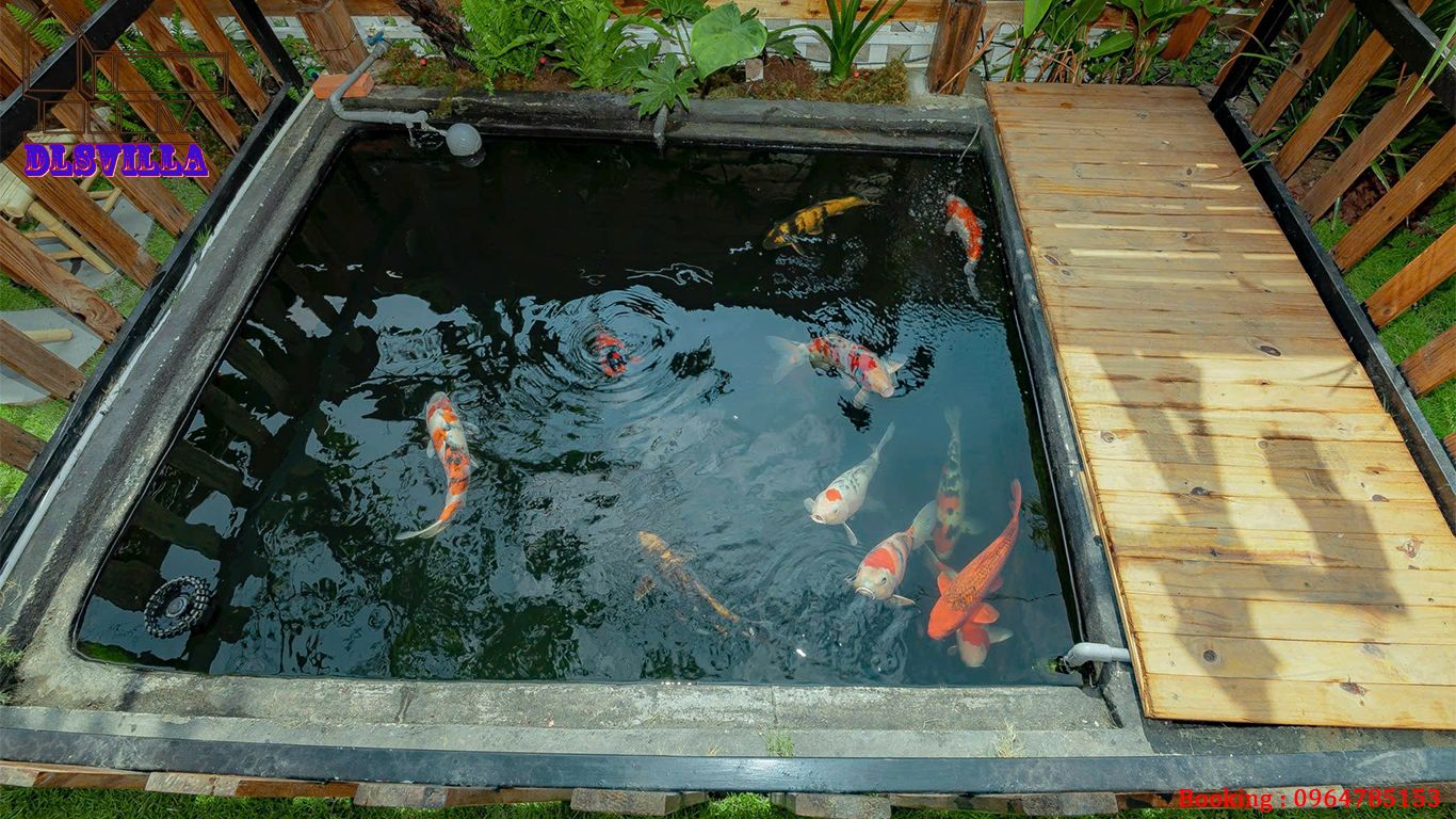 KHÁM PHÁ HOMESTAY ĐÀ LẠT DL095-Góc Nhỏ Bình Yên Giữa Lòng Đà Lạt 10 homestay da lat dl095 11