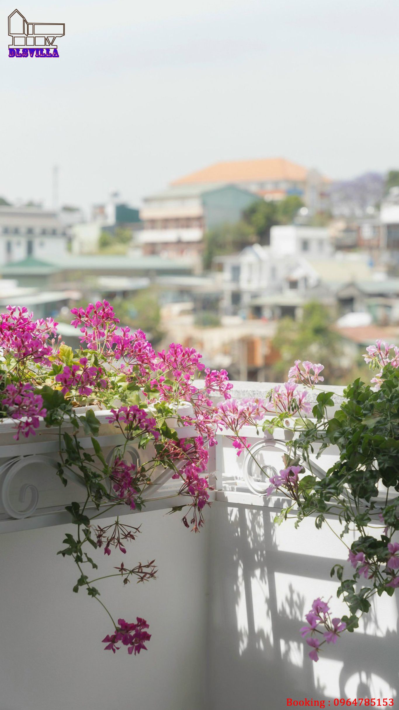 VILLA ĐÀ LẠT DL067-MỘC MẠC, SÂN VƯỜN ,VIEW NHÀ LỒNG 16 villa da lat dl067 38