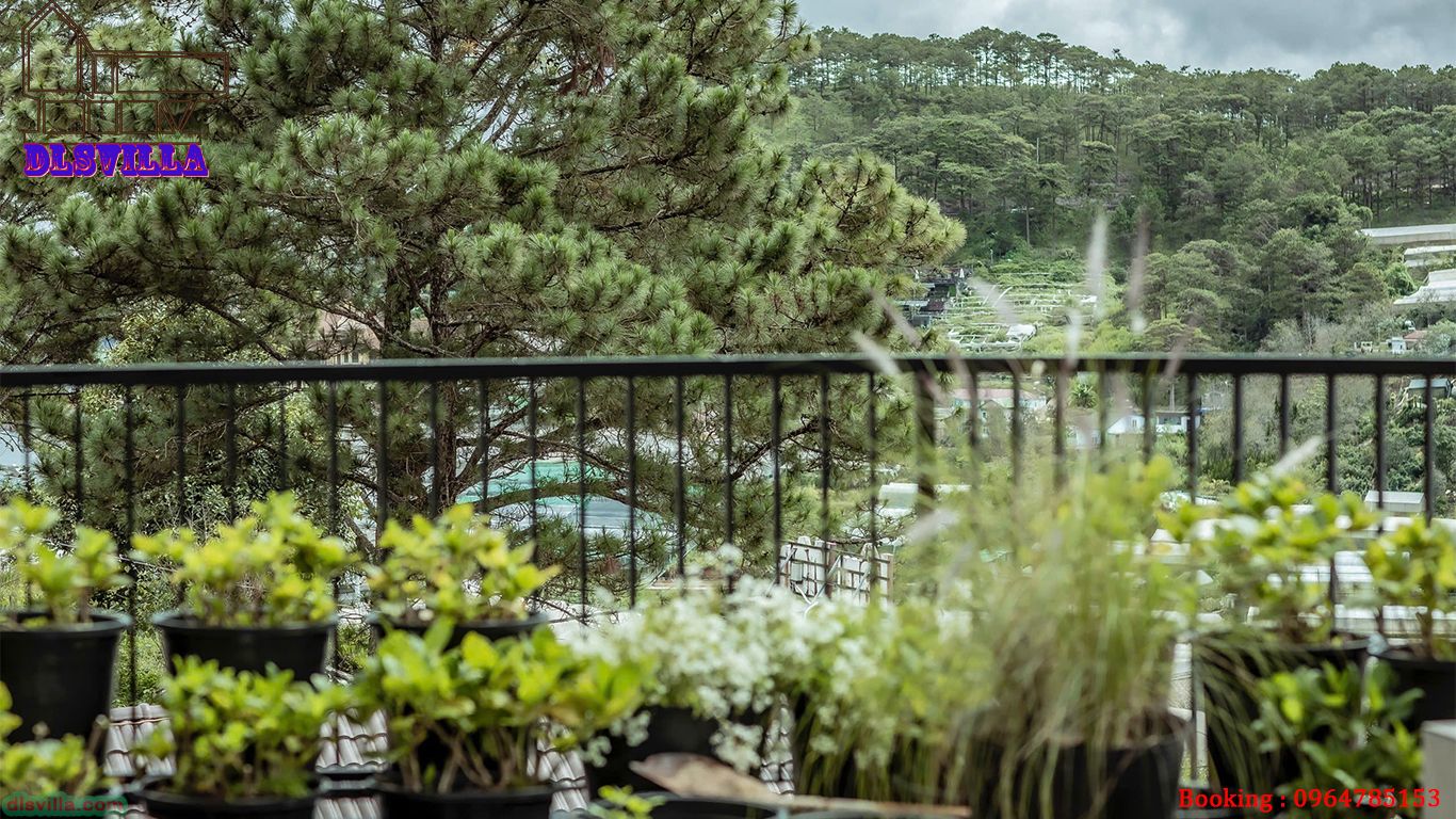 VILLA ĐÀ LẠT DL109-Biệt Thự Cao Cấp- Không Gian Nghỉ Dưỡng Lý Tưởng Tại Đà Lạt 28 villa da lat dl109 26
