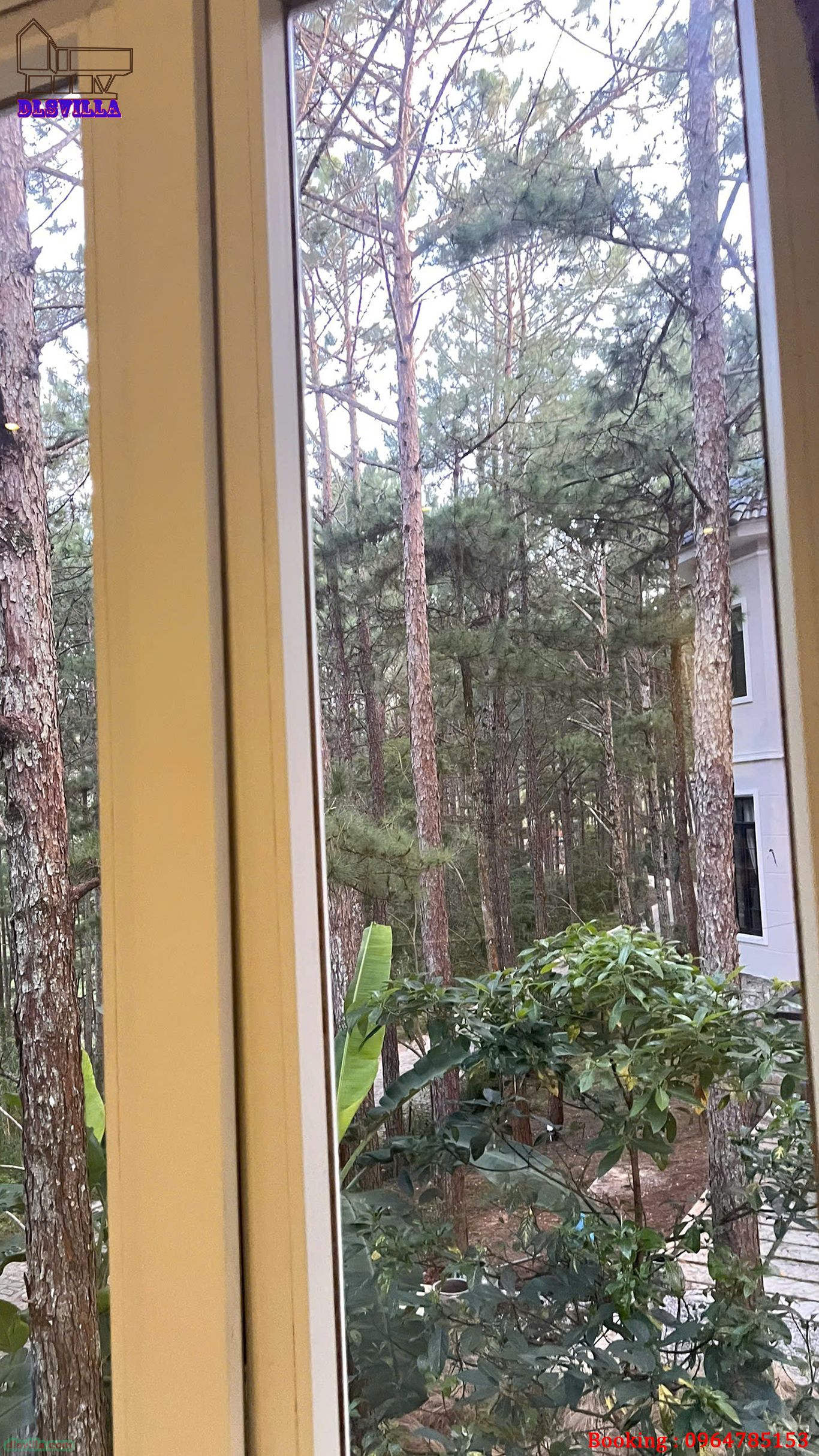 VILLA ĐÀ LẠT DL114-Trải Nghiệm Villa Giá Rẻ Trong Hồ Tuyền Lâm 23 villa da lat dl114 27