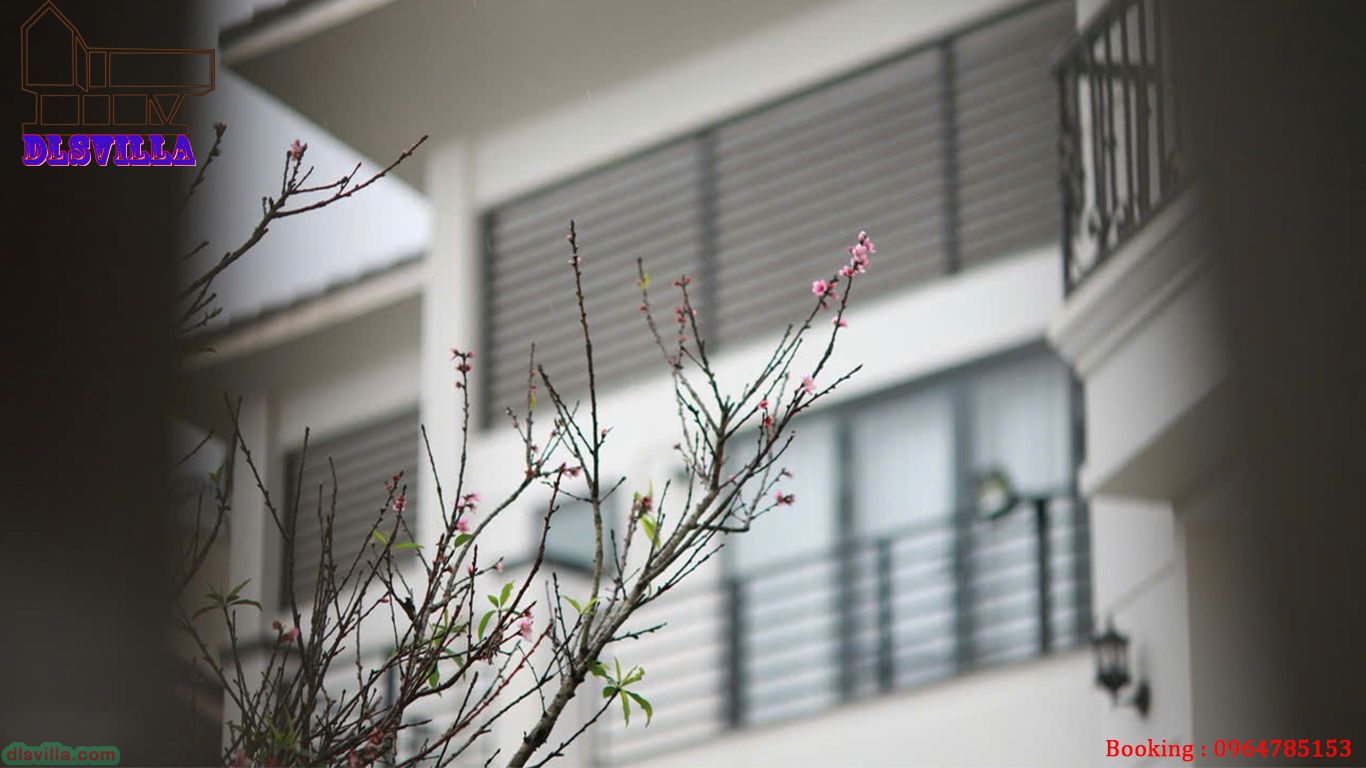 💥KHÁM PHÁ VILLA ĐÀ LẠT DL120-KDL Nam Hồ 6.11 12 villa da lat dl120 21