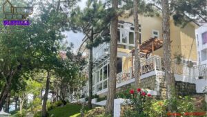 Villa Đà Lạt DL124