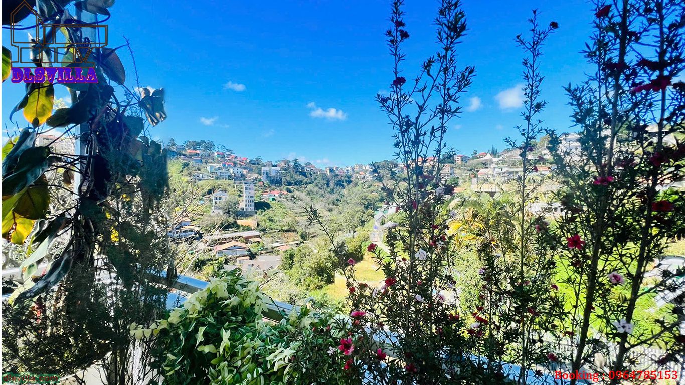 💥KHÁM PHÁ VILLA ĐÀ LẠT DL126-VILLA VIEW THUNG LŨNG, ĐỒI THÔNG, SĂN MÂY 29 villa da lat dl126 4