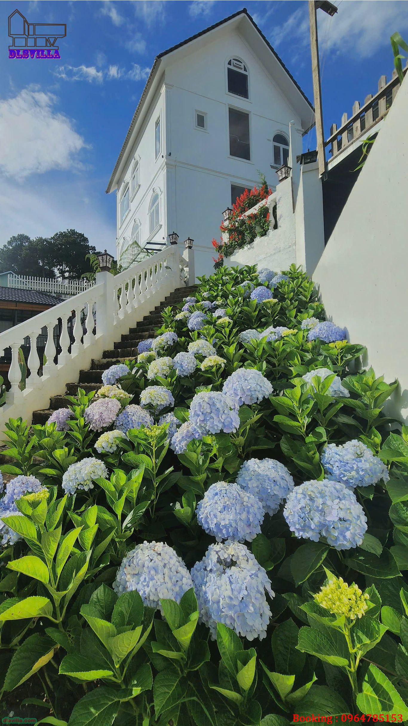 VILLA ĐÀ LẠT DL141-VILLA SÂN VƯỜN, VIEW ĐỒI NÚI,SĂN MÂY 3 Villa Đà Lạt DL141